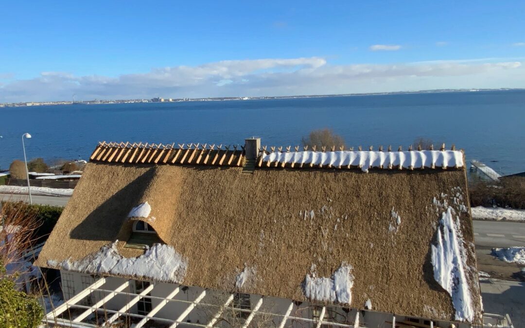 Dagens lynanalyse – 3000 Helsingør