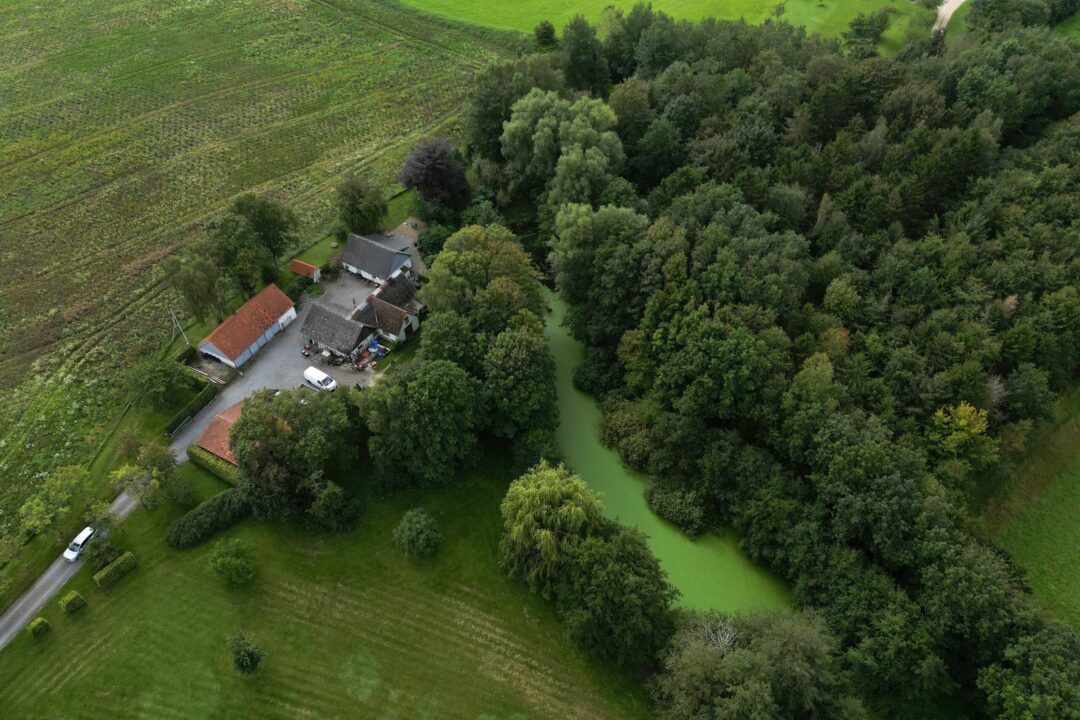 Graf med nøgletal og udvikling for Roskilde 4000
